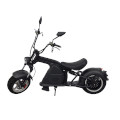 Model La Spezia Plus 45Km/h E-Scooter