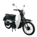 Model Retro Mofa Turin 45Km/h E-Scooter